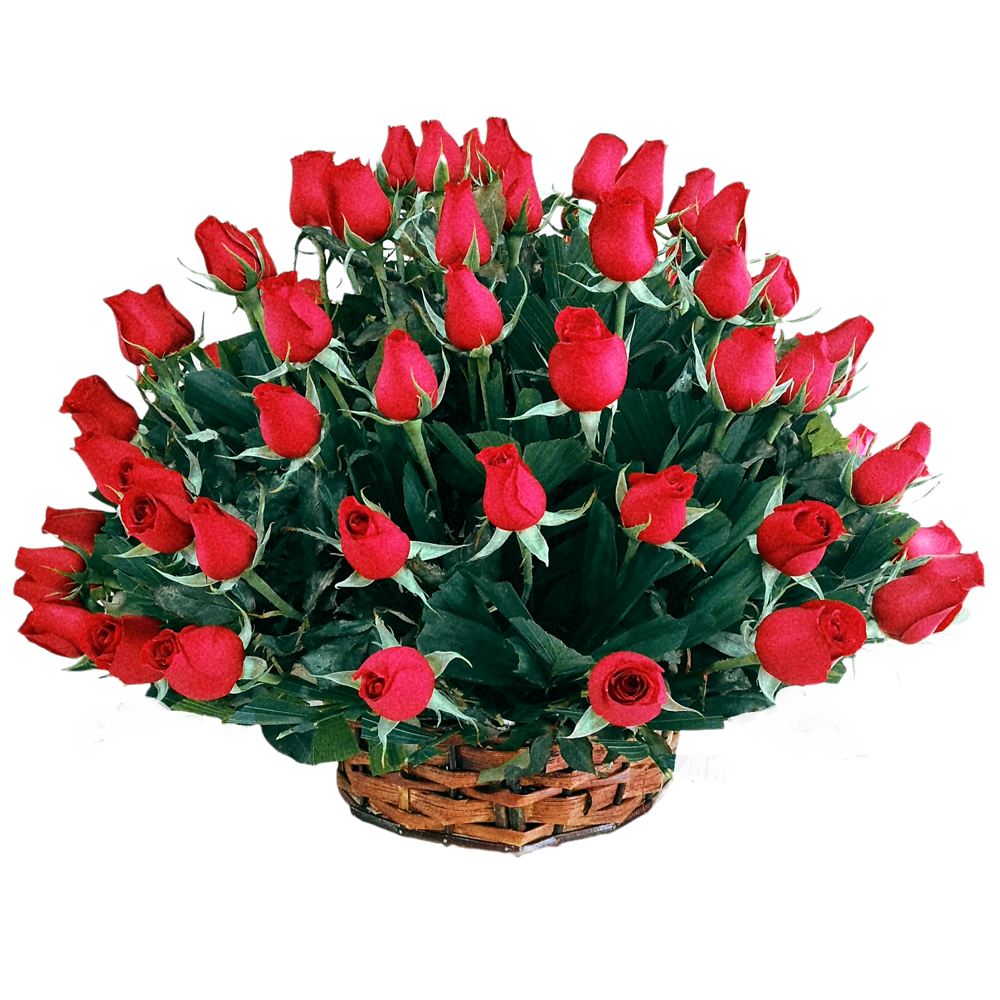 Canasta de rosas rojas 100 piezas | Florería en Línea