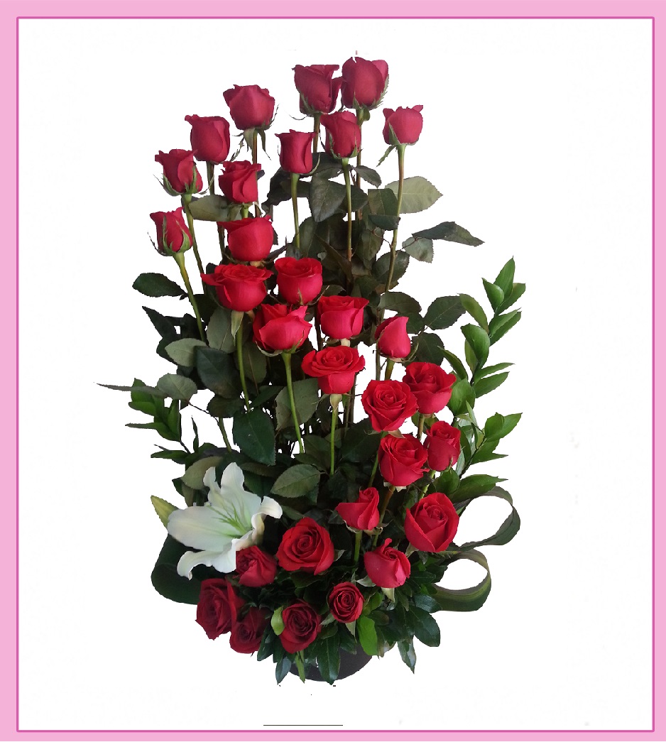 Arreglo de rosas rojas en espiral 24 piezas | Liliana