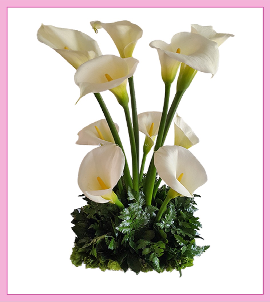 Arreglo de flores naturales de alcatraces | Florería Liliana | Flores a  domicilio CDMX