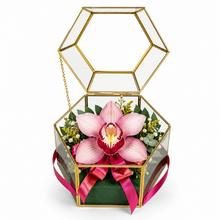 Florería Liliana 30 Arreglo de Orquídea Cimbidium color rosa
