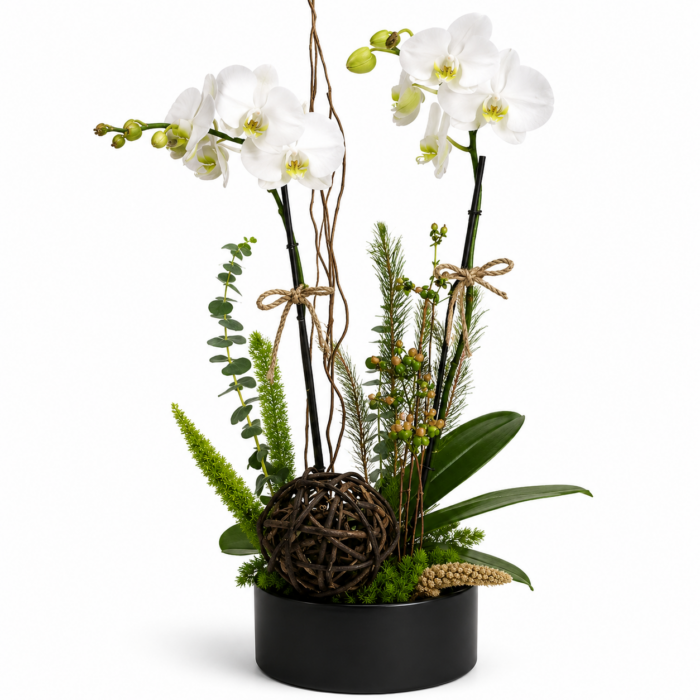 Arreglo de orquídeas
