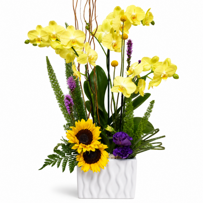 Arreglo de orquídeas amarillas en caja 3 piezas