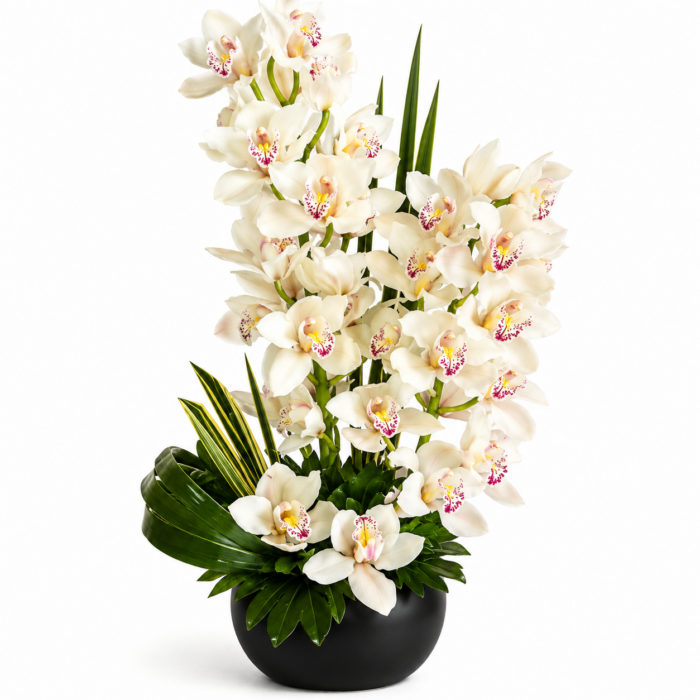 Florería Liliana 36 Arreglo de orquídeas cymbidium 2 piezas