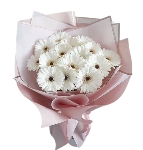 Elegancia Alba: Ramo Premium de Gerberas Blancas en Envoltorio Coreano