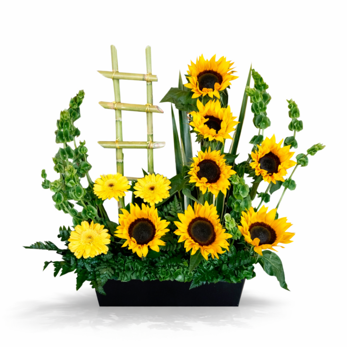 arreglo de girasoles 7 piezas