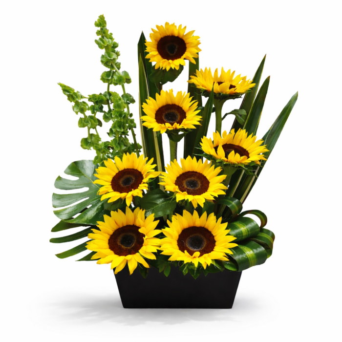Florería Liliana 21 arreglo de girasoles 8 piezas
