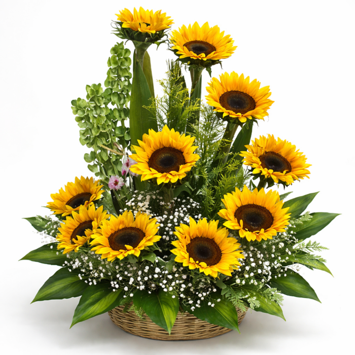 Florería Liliana 25 arreglo de girasoles en canasta