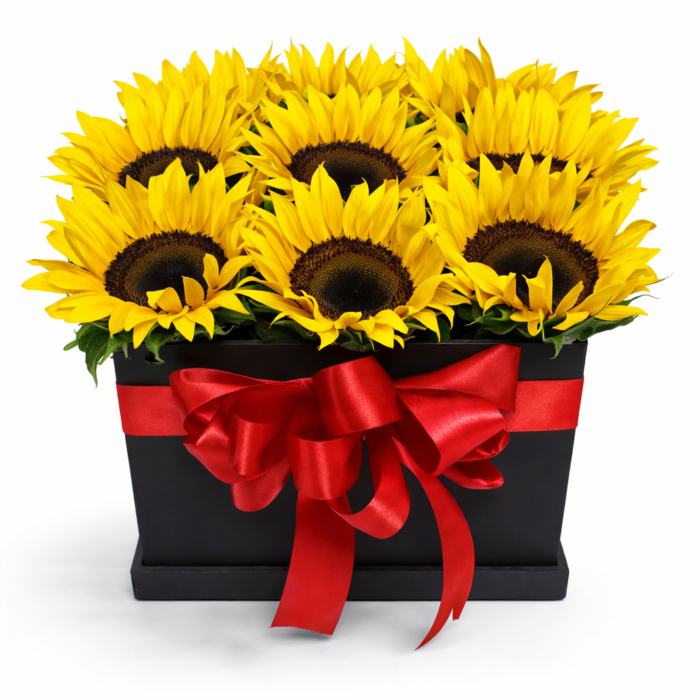 arreglos de girasoles en caja