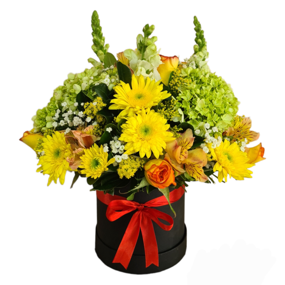 flor margarita amarilla