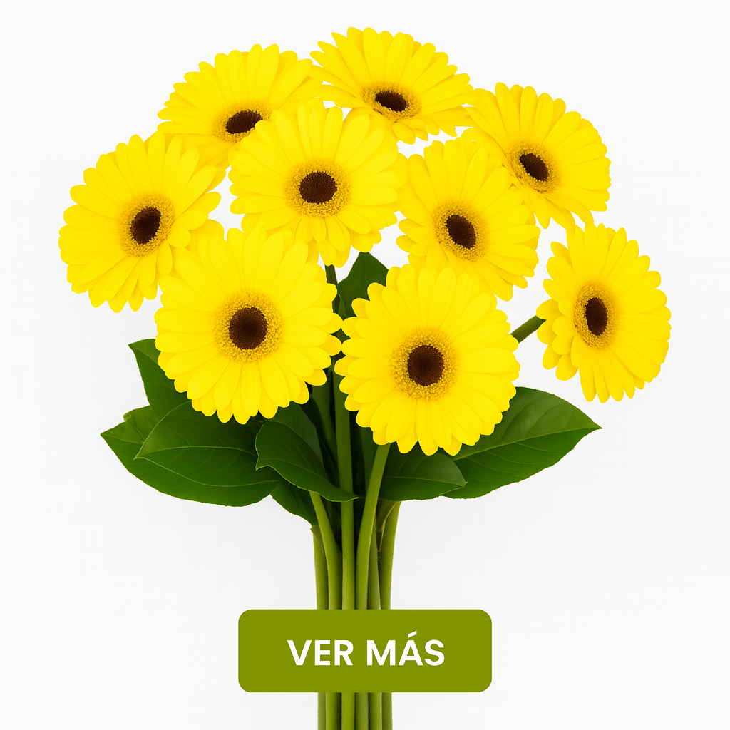 gerberas amarillas