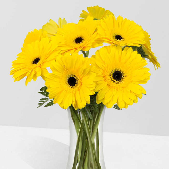 gerberas amarillas ramos
