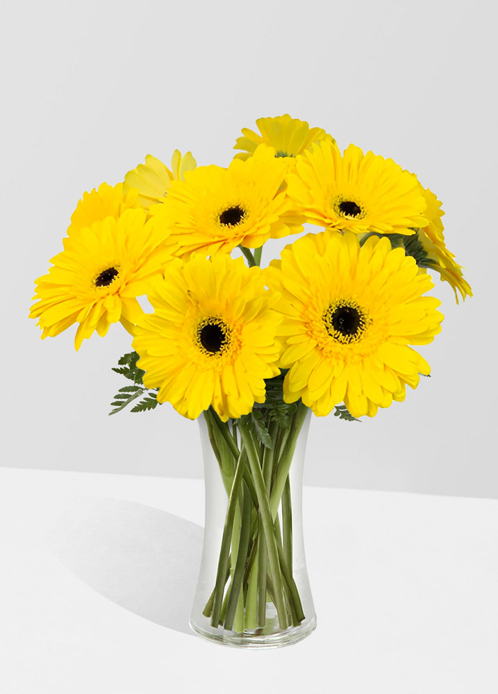 gerberas amarillas ramos