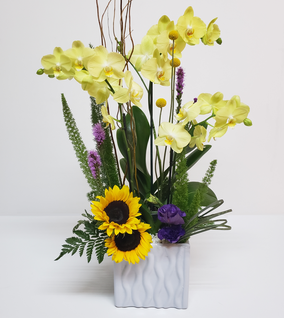 Arreglo de orquídeas amarillas en caja 3 piezas