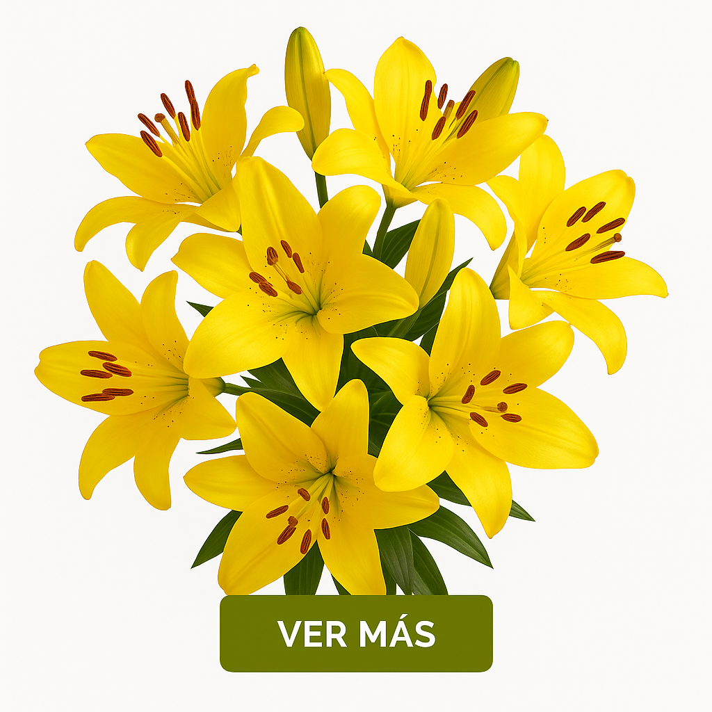 lilis amarillas